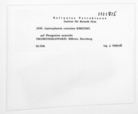 Image Associated With the Occurence